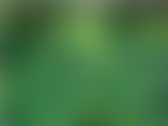 Model 5: Sustainable conservation-horticulture in fruit orchards on Inceptisols and Alfisols