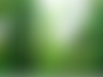 Model 1: The multi-storeyed coffee horti-forestry system on Alfisols and Ultisols