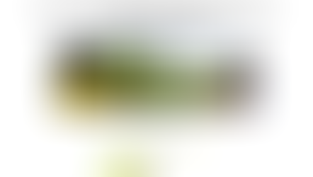 Plant Tissue Analysis and Interpretation for Horticultural Crops