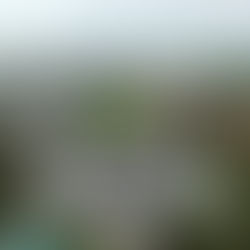 2023 Abortion Data in NC