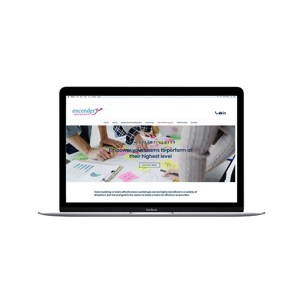 Encender coaching consultant, website design and build and website content project by marketing cons