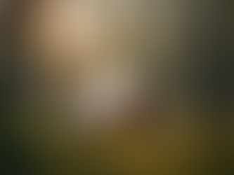 Exploring the Benefits of Glamping for Strengthening Love Relationships