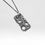 Thumbnail: MOON ROCK