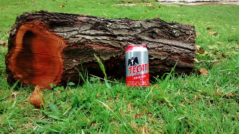 Cerveza Tecate.