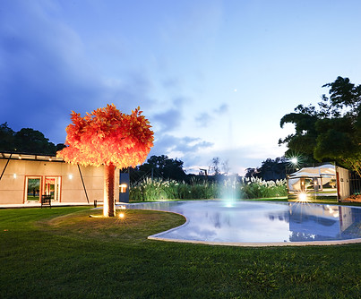 Jardín.JPG