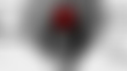 LUISA FERNANDA, La Zarzuela universal