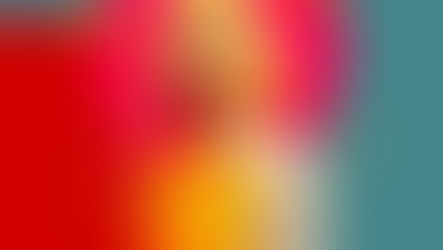 RAFFAELLA, El Musical