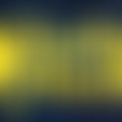 BAILO BAILO, El Musical