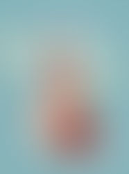 MARINA, de Emilio Arrieta