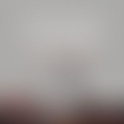 LA VERBENA DE LA PALOMA