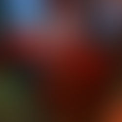 SÍBARIS, de Domingo Villar