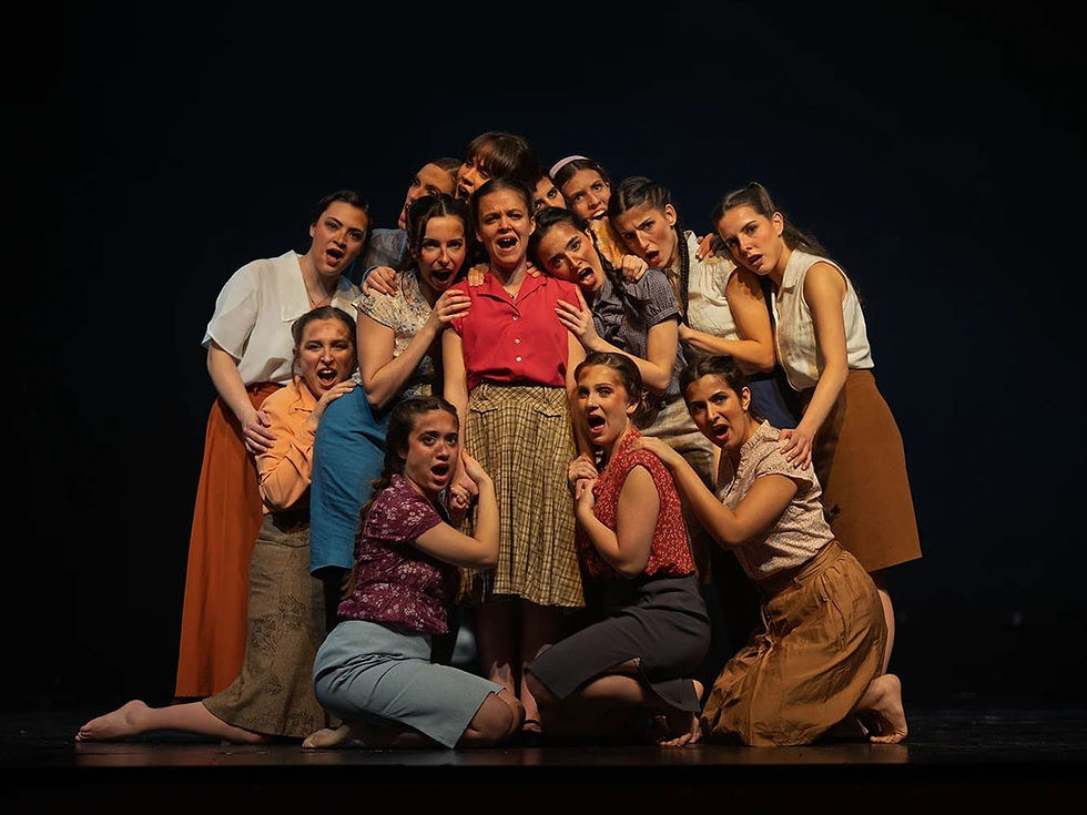 La rosa 14