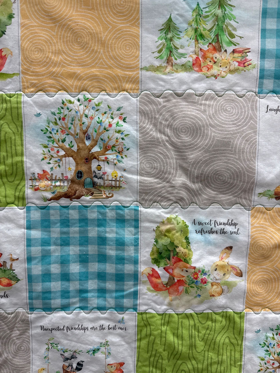 Thumbnail: Furry Friends Minky Blanket