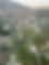 IMG_8223.jpeg