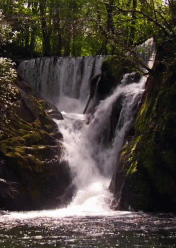 cascada-en-bosque-26.gif