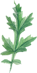 31590628-LL-imagenavi.png