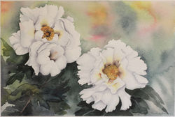 06 - 36x51