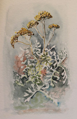 15 - 48x33