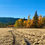 Thumbnail: Autumn