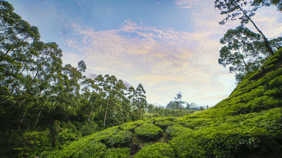 Munnar