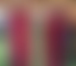 November 2025 - Changing Lives, Transforming a Nation