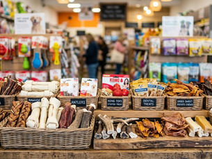 Dog Chews Guide: Types, Benefits, Materials and Where to Buy in Singapore
