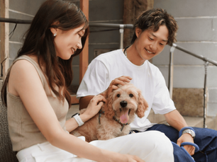 Puppy 101: First Year Survival Guide