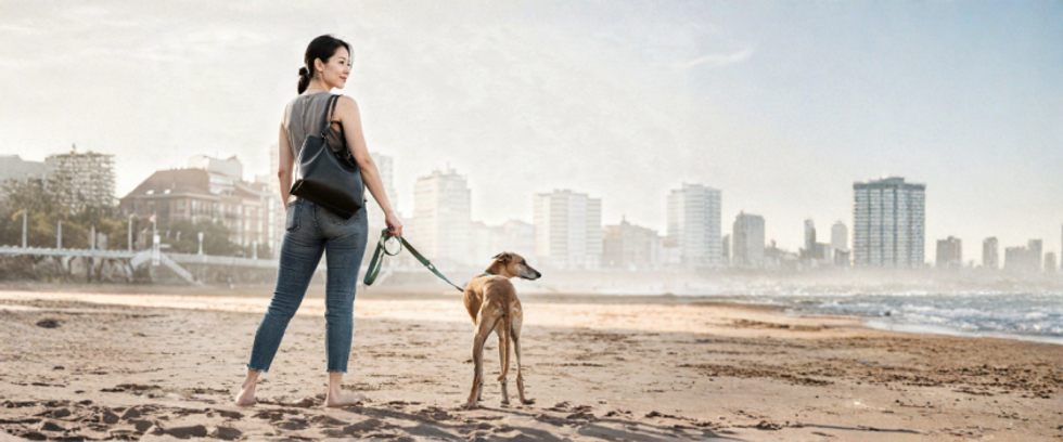 Banner_buddy_pet_care (2).png