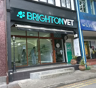 Clinic - Brighton Vet.jpg