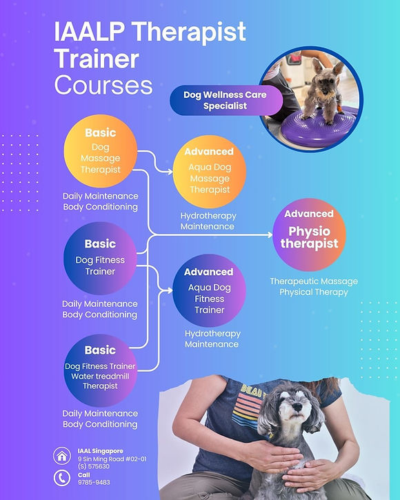 Therapist Trainer Course.jpg