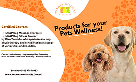 Banner - Wanwan Wellness All#.png