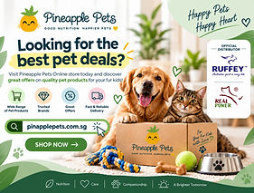 flyer_pineapple_pets (1)_edited.jpg