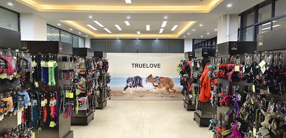 truelovesampleroom.png