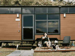 Pet Friendly Staycation: Your Ultimate Guide on Lazarus Island. 