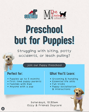 Preschool.png