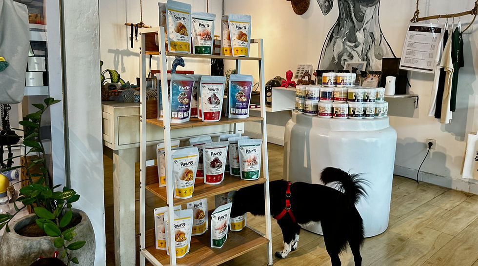 IMG_9796 (1)_edited.jpg