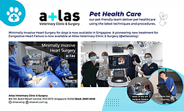 Atlas Veteninary Clinic & Surgery.png