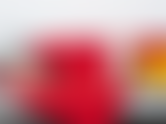 Dog Approved & Banned in HDB Flats: What You Should Know