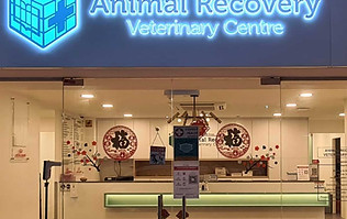 Animal Recovery.jpg