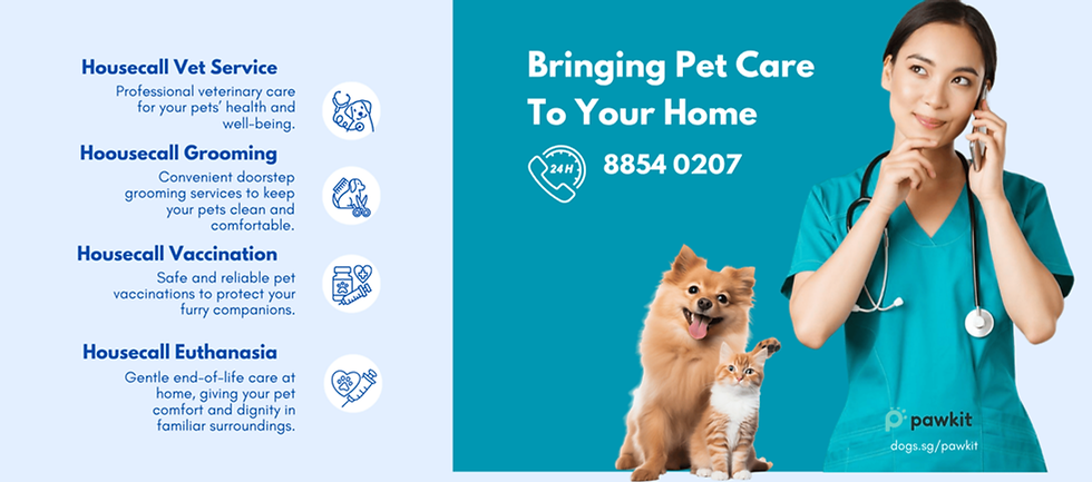 Banner - Pawkit.png