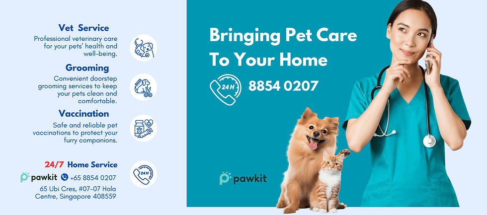 banner_Pawkit_247 (1)_edited.jpg