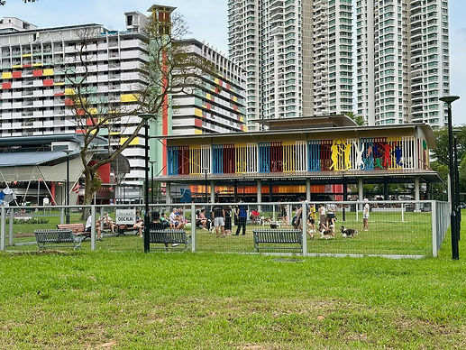Toa-Payoh-Dog-Run-Park.jpeg