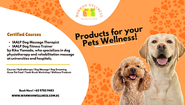 1a. Wanwan Wellness All#.png