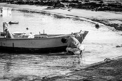 IMG_4730