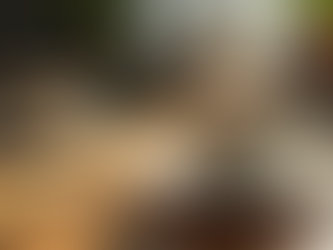 Sleep Strategies for Today’s World