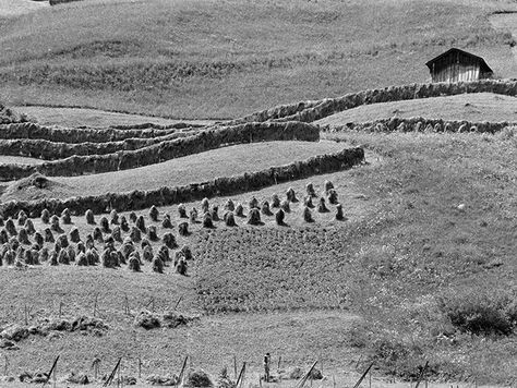 Gerechtigkeit für die Bergbauern