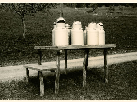 Die Vorarlberger Milchwirtschaft