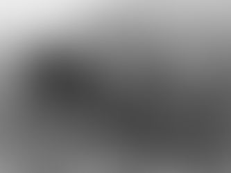 Die Anfänge der bäuerlichen Sozialversicherung