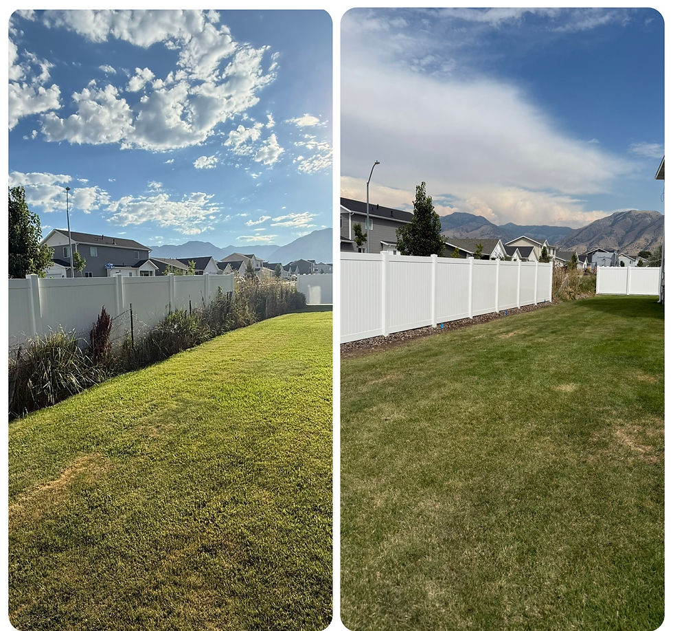 fence3.JPEG