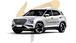iris_edited.png